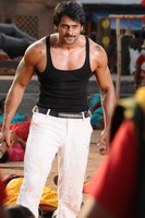 Rebel Latest Stills